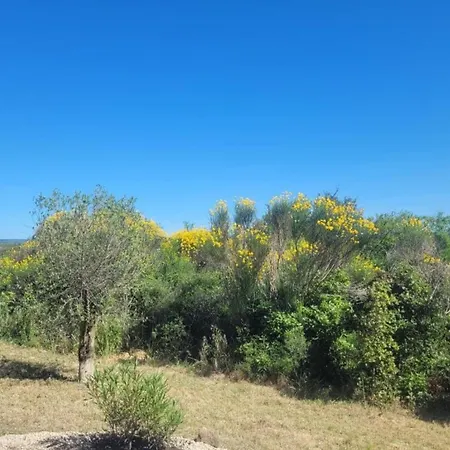 Holiday home In With Pool Felines-Minervois